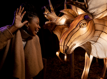 Screenshot 2025-11-14 at 09.17.21