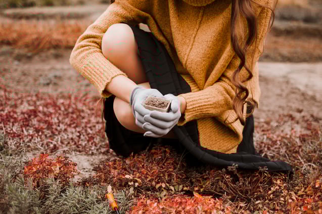 gardener