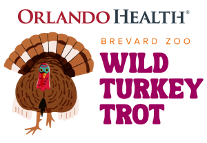 genericImage-websiteLogo-259478-1754340549.7511-0.bOKrZf